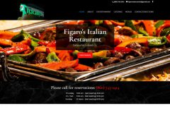 figaroct.com